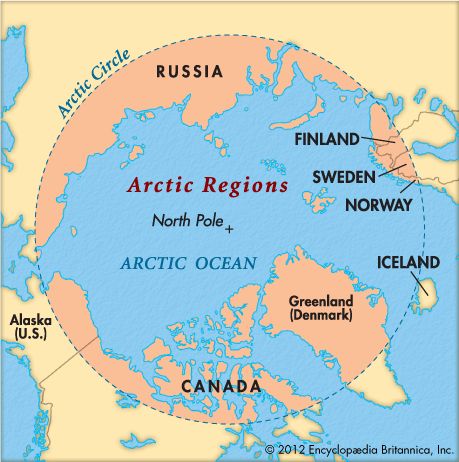 arctic 