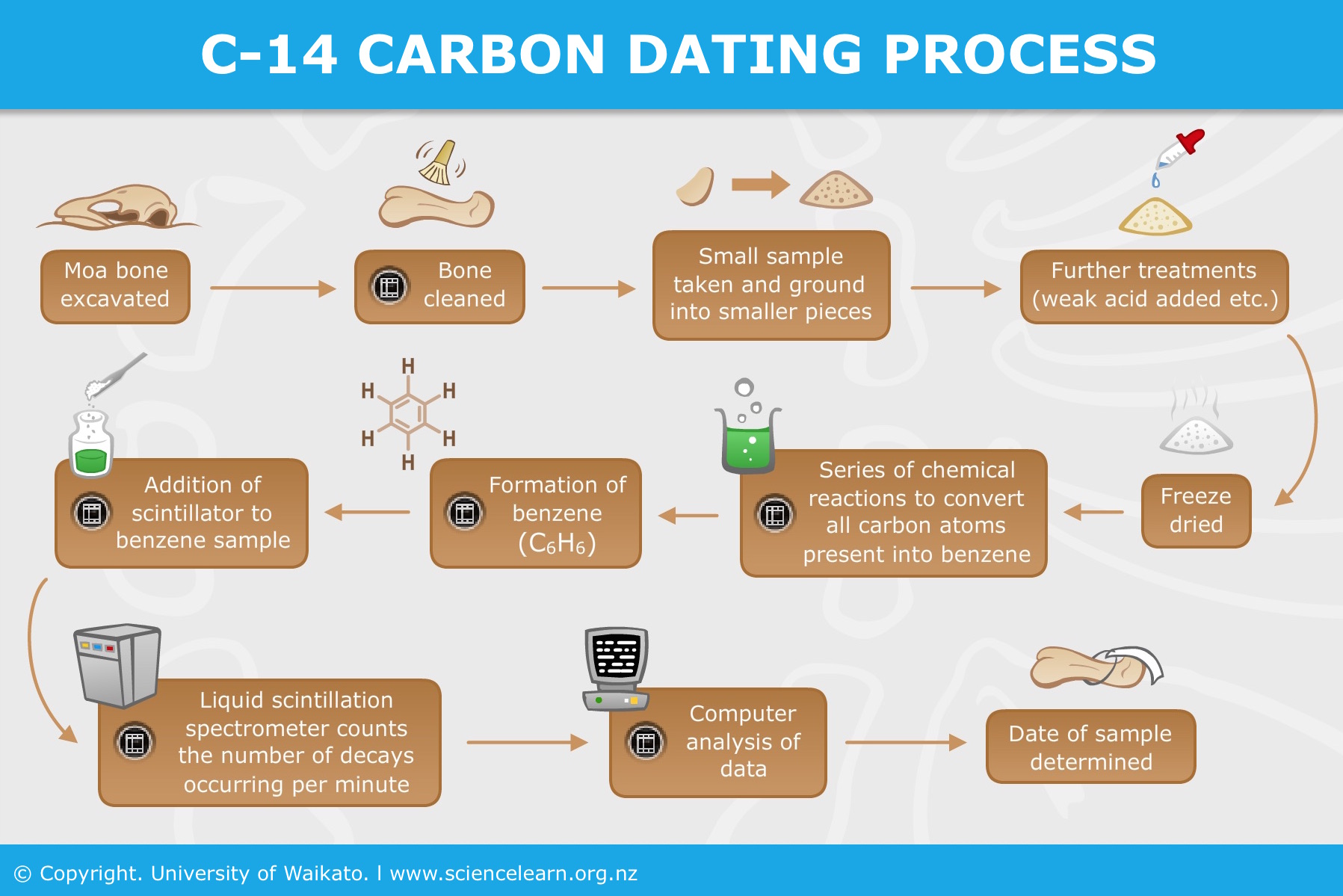 c14-carbon-dating.jpg