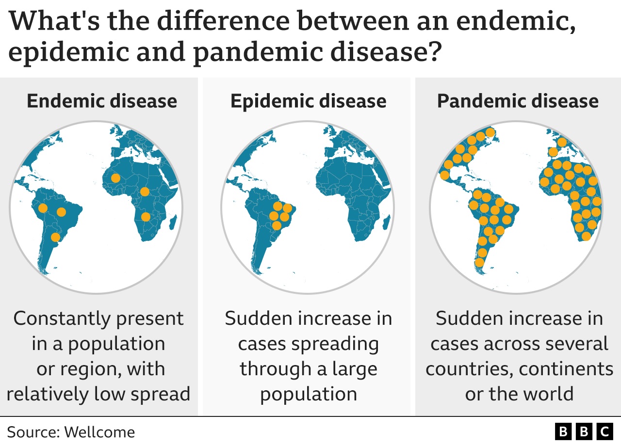 endemic epidemic pandemic