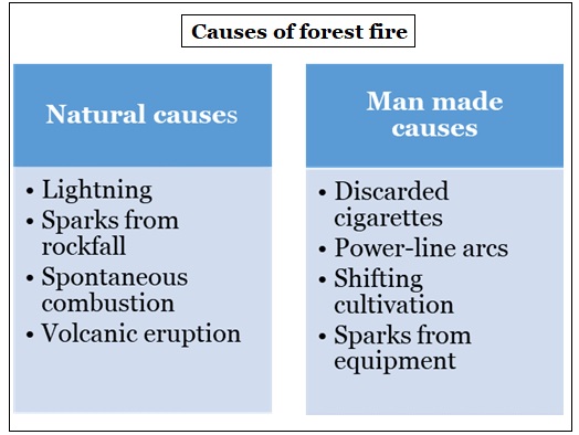 Forest fire causes 
