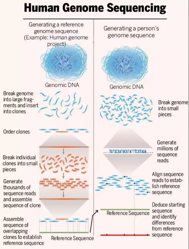 genome-sequencing