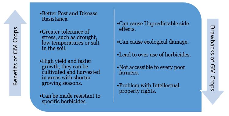 GM crops pros and cons 2023