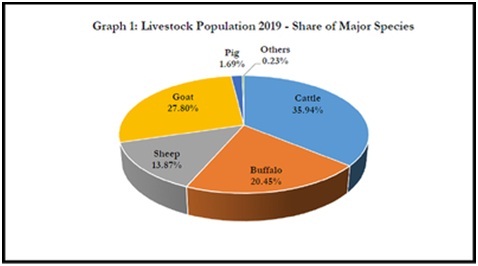 Livestock Population 2019