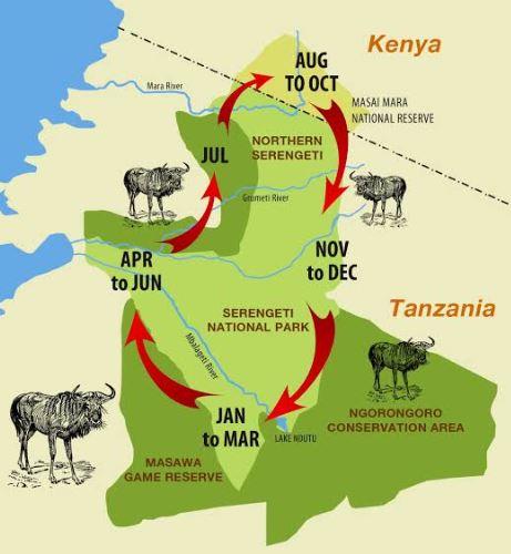 Maasai-mara Ecosystem