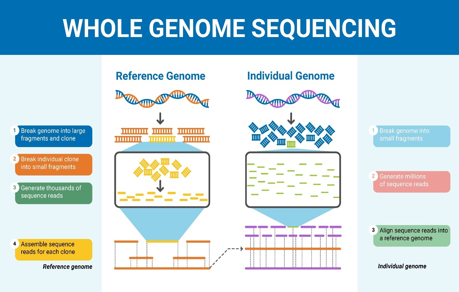 newborn genome sequencing 2023