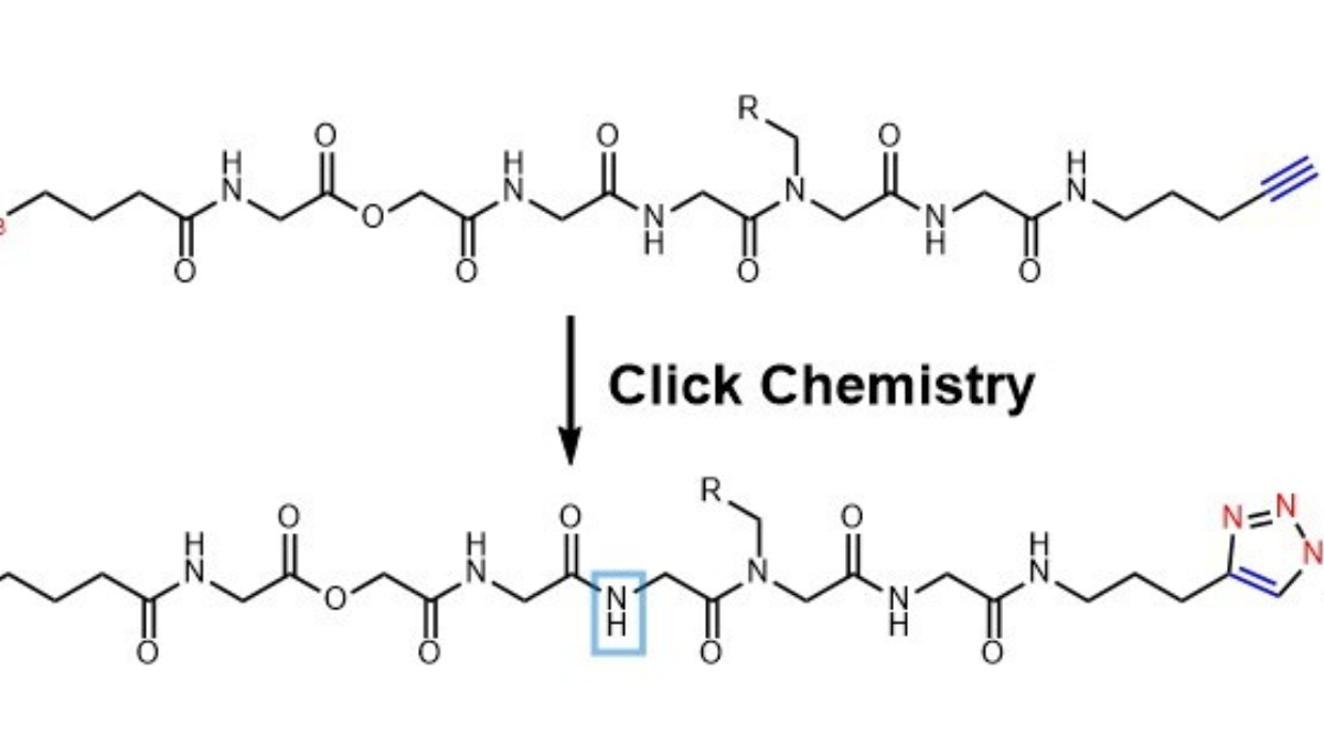 nobel-click-chemistry