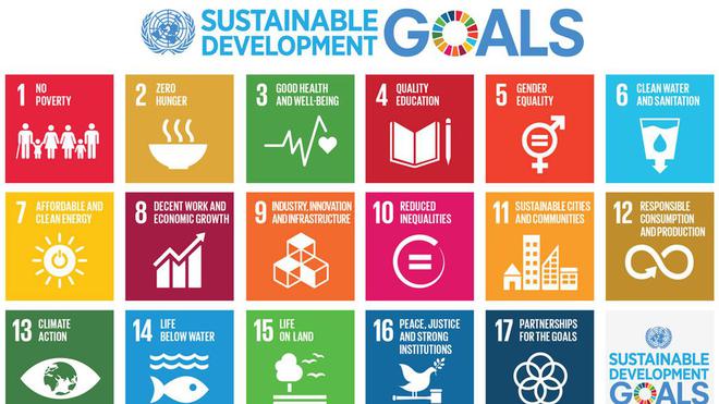 SDG Goals 2023